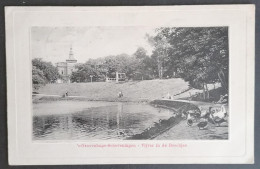 Nederland/Netherlands - Postkaart Den Haag / Scheveningen - Vijver In De Boschjes (gelopen In 1908) - Den Haag ('s-Gravenhage)