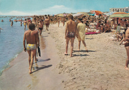 Lido Di Metaponto Spiaggia - Otros & Sin Clasificación