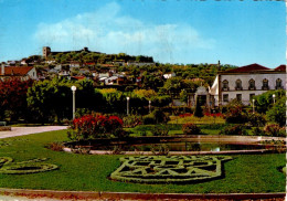 CASTELO BRANCO - Jardim Municipal E Paço Episcopal - PORTUGAL - Castelo Branco