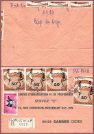 LETTRE. NIGER. RECOMMANDE FILINGUE  POUR FRANCE - Niger (1960-...)