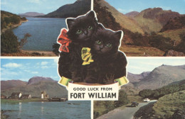 CPSM 9X14 D' ECOSSE -  GOOD LUCK FROM FORT WILLIAM - CHATONS & VUES DIVERSES - Inverness-shire