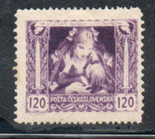 CZECH REPUBLIC REPUBBLICA CECA CZECHOSLOVAKIA CESKA CECOSLOVACCHIA 1919 MOTHER AND CHILD 120h MH - Unused Stamps