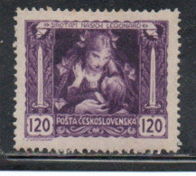 CZECH REPUBLIC REPUBBLICA CECA CZECHOSLOVAKIA CESKA CECOSLOVACCHIA 1919 MOTHER AND CHILD 120h MH - Nuevos