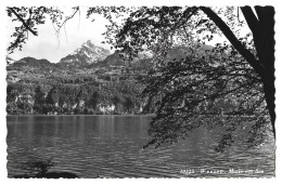 Suisse   -   Weesen ,  Motiv Am See    Strandhotel  Du Lac - Weesen