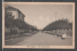Novi Ligure - Viale Regina Elena (corso Italia)    (c564) - Alessandria