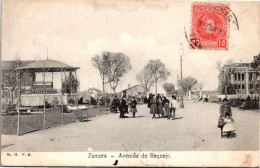 Espagne - ZAMORA - Avenida De Requejo - Zamora