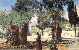 Israel - JERUSALEM - Garden Of Gethsemane - Publ. Lehnert & Landrock 2109 - Israele