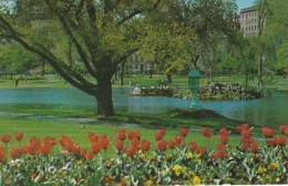 Swan Boat And The Famous Boston Public Gardens, Boston, Massachusetts - Boston