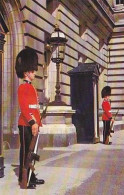 AK 168856 ENGLAND - London - Sentries At Buckingham Palace - Buckingham Palace