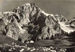 ITALIE - Courmayeur - Colle Chécrouit Et Monte Bianco - Carte Postale Ancienne - Other & Unclassified