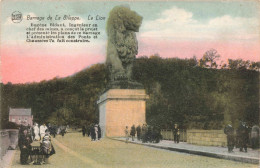 PHOTOGRAPHIE - Barrage De La Gileppe - Le Lion - Colorisé - Carte Postale Ancienne - Fotografie