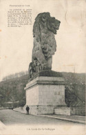 PHOTOGRAPHIE - Proportion Du Lion - Carte Postale Ancienne - Fotografie