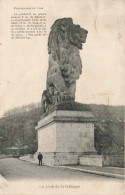 PHOTOGRAPHIE - Proportion Du Lion - Carte Postale Ancienne - Photographs