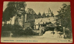 HAM-SUR-HEURE -  Le Château Et Le Vieux Moulin  -  1905  - - Ham-sur-Heure-Nalinnes