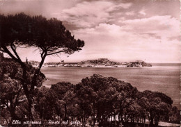 ITALIE - Elba - Pinete Sul Golfo - Carte Postale Ancienne - Otros & Sin Clasificación