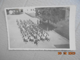 RPPC Carte Photo Fanfare (flou) Agfa - Sonstige & Ohne Zuordnung