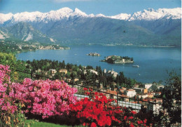 ITALIE - Stresa - Lac Majeur - Vue Générale - Colorisé - Carte Postale Ancienne - Verbania