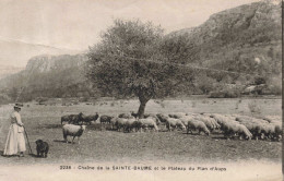 FRANCE - Sainte Baume - Le Plateau Du Plan D'Aups - Carte Postale Ancienne - Other & Unclassified