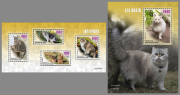 CENTRAL AFRICAN 2023 MNH Cats Katzen Chats M/S+S/S - OFFICIAL ISSUE - DHQ2340 - Chats Domestiques