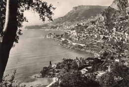 FRANCE - La Côte D'Azur - La Principal De Monaco Et La Tête De Chien Vus De Roquebrune - Carte Postale Ancienne - Roquebrune-Cap-Martin