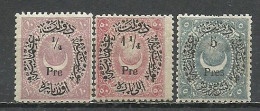 Turkey; 1876 Duloz Postage Stamps Type V MNH** - Unused Stamps