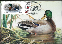 CM / MK (G) - DUOSTAMP° / MY STAMP° - BUZIN - Canard Colvert / Wilde Eend / Stockente / Mallard Duck - MPO - Lettres & Documents