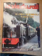 Vie Du Rail 1989 1985 Vale Rheidol Galles Stans Engelberg Ww2 Massy Palaisseau Saint Pierre Des Corps Béziers Cateau - Trains