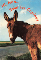 ANIMAUX - Âne - Salut Les Copines! - Colorisé - Carte Postale Ancienne - Donkeys