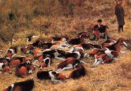 ANIMAUX - Chiens - Chasse à Courre - Le Repos - Colorisé - Carte Postale Ancienne - Chiens