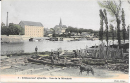 49 CHATEAUNEUF SUR SARTHE - Vue De La Minoteire - Animée - Bucherons - Chateauneuf Sur Sarthe