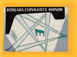 ESPERANTO - CHEMINS DE FER - HUNGARA FERVOJISTA MONDO 1963 - Ecrite Ensperato - A 2919 / 20 - Esperanto