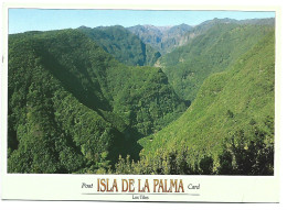 VISTA DEL BOSQUE DE LOS TILOS.-  ISLA DE LA PALMA / ISLAS CANARIAS.- ( ESPAÑA ) - La Palma