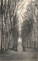 Carrouges * Route Chemin , Le Champ De Pierre * Le Château , Avenue Du Parc - Carrouges