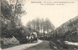 Mur De Bretagne * Environs * Vallée De Poulancre * Le Petit Bois * Route * Attelage Diligence - Autres & Non Classés