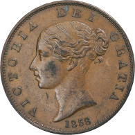 Grande-Bretagne, Victoria, 1/2 Penny, 1858, TTB, Cuivre, KM:726 - C. 1/2 Penny