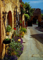 DOMME    ( DORDOGNE )   L ' UN DES PLUS BEAUX VILLAGE DE FRANCE . RUE FLEURIE - Domme