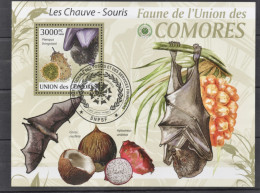 COMORES 2009 BLOC CHAUVE-SOURIS YVERT N°B196, BAT, - Vleermuizen