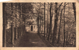 BELGIQUE - Malonne - Institut De Saint Berthuin - Chapelle Saint Joseph - Carte Postale Ancienne - Namur