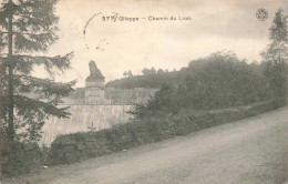 BELGIQUE - Gileppe - Chemin De Lion - Carte Postale Ancienne - Gileppe (Stuwdam)