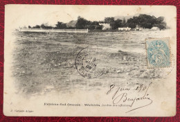 France, Algérie Divers Sur CPA, TAD TAGHIT, ORAN 8.6.1905 - (N017) - 1877-1920: Semi-Moderne