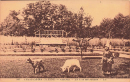 FRANCE - Tesse La Madeleine - Un Coin Des Jardins - Carte Postale Ancienne - Sonstige & Ohne Zuordnung