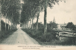 Soligny La Trappe * Route Allée Des Platanes * Abbaye De La Grande Trappe - Autres & Non Classés