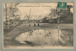 CPA (82) LAVIT-de-LOMAGNE - Aspect De La Mare Aux Canards Et Du Foiral Toulousain En 1910 - Lavit