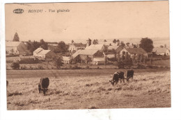 Rondu Vue Générale - Libramont-Chevigny