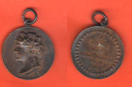 ORO Alla PATRIA 1917 Medaglia In Bronzo 1WW  Zecca Di Roma - Italia