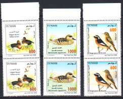 2004 -Tunisie/ Y&T 1527 -- 1529 - Oiseaux De Tunisie - En Paire V   - 6V -/ MNH***** - Tunisie (1956-...)