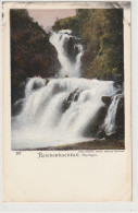 SUISSE 125 : Reichenbachfall Meyringen : Photo Chemirg Anstalt Brugger N° 207 - Brügg