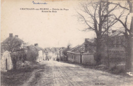 51. CHATILLON SUR MARNE. CPA.  ENTREE DU PAYS. ROUTE DU BOIS.  + TEXTE - Châtillon-sur-Marne