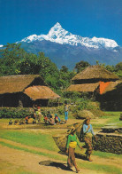 POST CARD - NEPAL - Machhapuchhare From Pokhara Valley Bhim Ratna Harsha Ratna New Hotel Crystal Kathmandu - Nepal