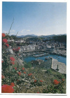 PUERTO Y VILLA.-  LUARCA / ASTURIAS .- ( ESPAÑA) - Asturias (Oviedo)